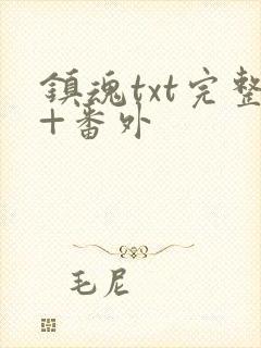 镇魂txt完整+番外