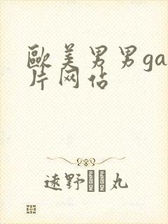 欧美男男gay片网站