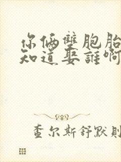 你俩双胞胎我哪知道娶谁啊小说免费阅读