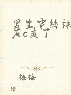 男生穿丝袜被室友c爽了封面