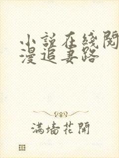 小说在线阅读漫漫追妻路封面