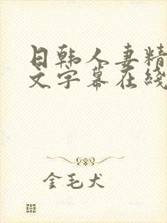 日韩人妻精品中文字幕在线人妻