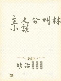 主人公叫林云的小说