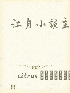 江月小说主角