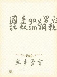 国产gay男性玩奴sm调教视频封面