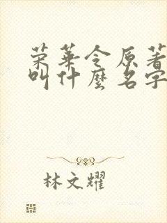 荣华令原著小说叫什么名字啊