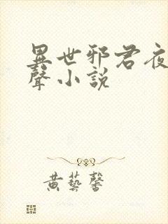 异世邪君夜风有声小说