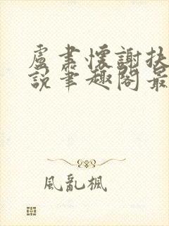 卢聿怀谢扶盈小说笔趣阁最新章节