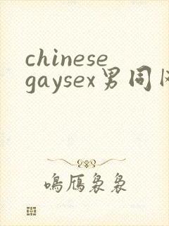 chinesegaysex男同网站