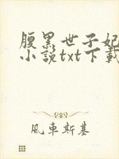 腹黑世子妃日常小说txt下载