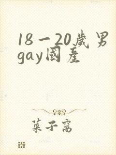 18一20岁男gay国产封面