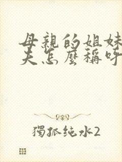 母亲的姐妹的丈夫怎么称呼