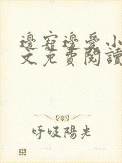 边宠边爱小说全文免费阅读封面