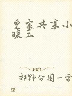 皇家共享小公主暖玉