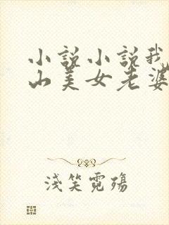 小说小说我的冰山美女老婆