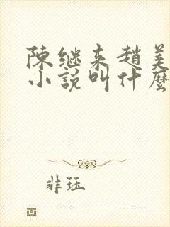 陈继来赵美媛的小说叫什么