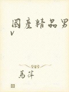 国产精品男男av