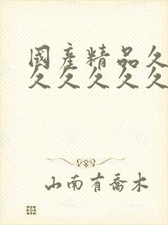 国产精品久久久久久久久久三级