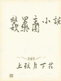 双男主小说穿书娱乐圈封面