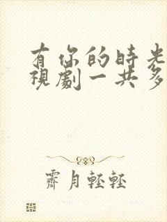 有你的时光里电视剧一共多少集