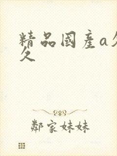 精品国产a久久久