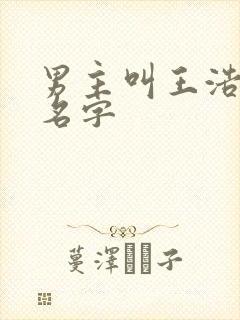 男主叫王浩短剧名字