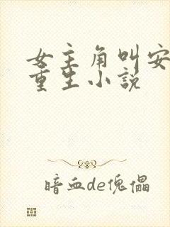 女主角叫安夏的重生小说