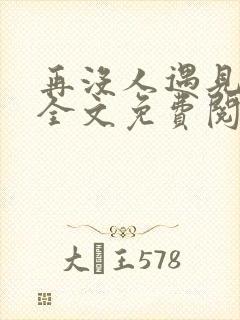 再没人遇见小说全文免费阅读封面