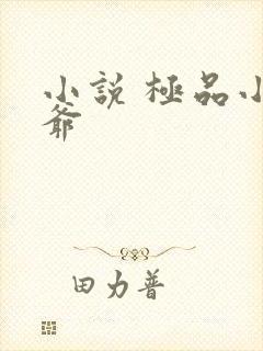 小说 极品小侯爷
