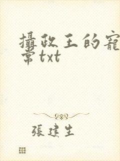 摄政王的宠妻日常txt