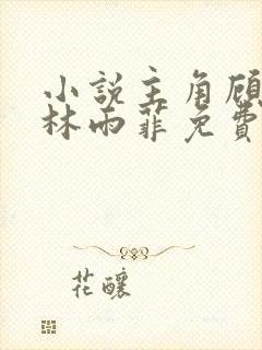 小说主角顾北潇林雨菲免费阅读