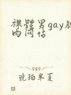 裸体男gay肌肉网站封面