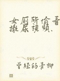 女厕所偷看女人撒尿视频.