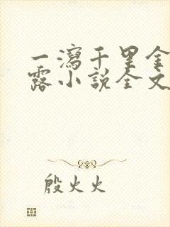 一泻千里金银花露小说全文免费阅读