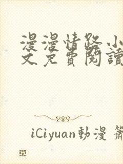 漫漫情路小说全文免费阅读