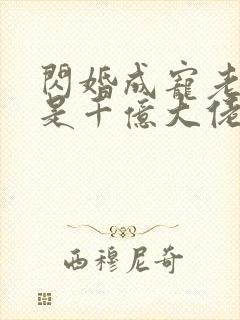 闪婚成宠老公竟是千亿大佬免费看