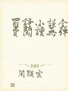 罗铮小说全文免费阅读无弹窗