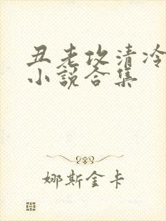 丑老攻清冷美人小说合集封面