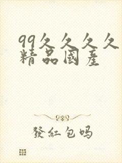 99久久久久久精品国产