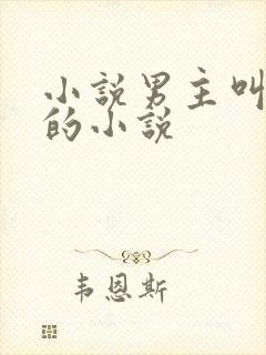 小说男主叫楚枫的小说封面