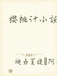 樱桃汁小说封面