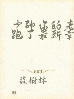 少帅你的老婆又跑了最新章节免费阅读