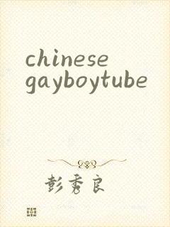 chinesegayboytube封面