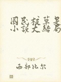 国民校草是女生小说大结局