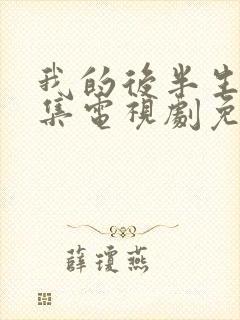 我的后半生42集电视剧免费观看封面