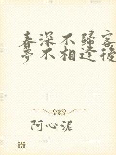 春深不归客,清梦不相逢后续封面