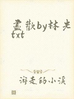 尽欢by林光曦txt