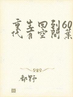 重生回到60年代有空间叶昊
