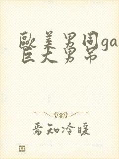 欧美男同gay巨大男吊