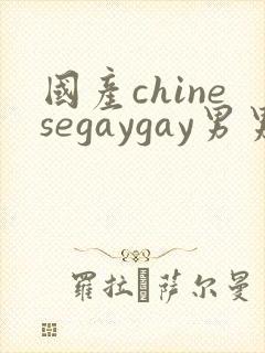 国产chinesegaygay男男网站